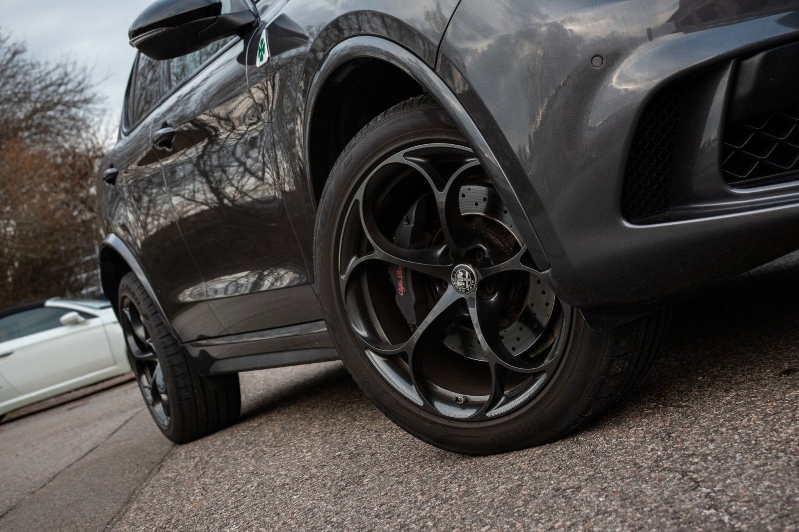 Fahrzeugabbildung Alfa Romeo Stelvio Quadrifoglio*Panorama*Leder*H&K*Kamera*