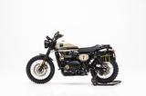 Triumph Scrambler 900 Custom Wilbers Street Scrambler - TRIUMPH 900 SCRAMBLER