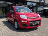 Fiat Panda Pandina 1.0 firefly Hybrid Pop - Fiat Panda Gebrauchtwagen in Dortmund