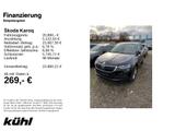 Skoda Karoq 1.0 TSI Clever Navi,Kamera,PDC
