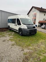 Fiat Ducato Kombi - Fiat Ducato: Kombi