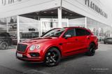 Bentley Bentayga 6.0 W12 608hp / Mulliner / Carbon - Bentley: Rot