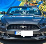 Ford Mustang 2.3 EcoBoost - Tüv/Service neu - Ford Mustang in München