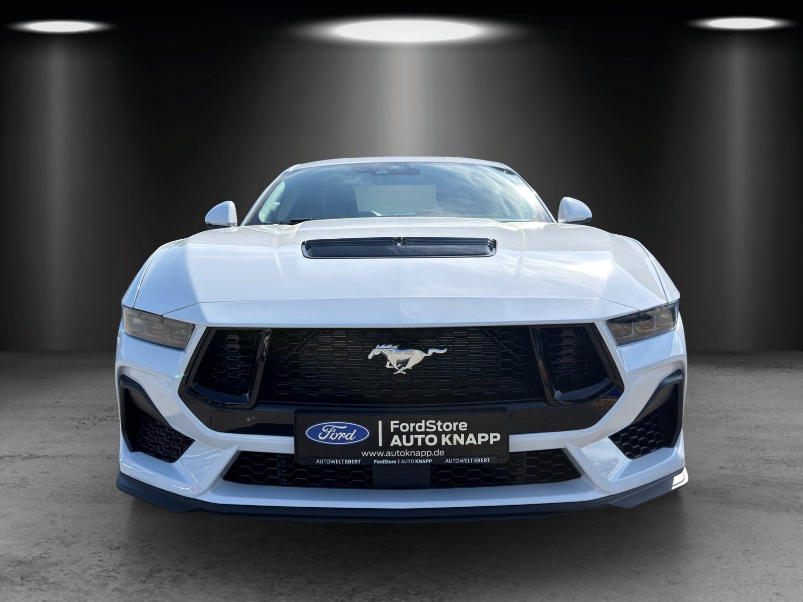 Fahrzeugabbildung Ford Mustang Fastback GT MagneRide Bremsen Rot