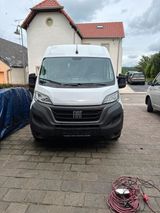 Fiat FIAT Ducato L5h2 2022 TOP Bus, Camper, Spr... - Fiat Ducato: Camper