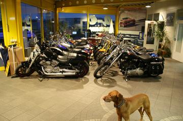 showroom-image-bottom