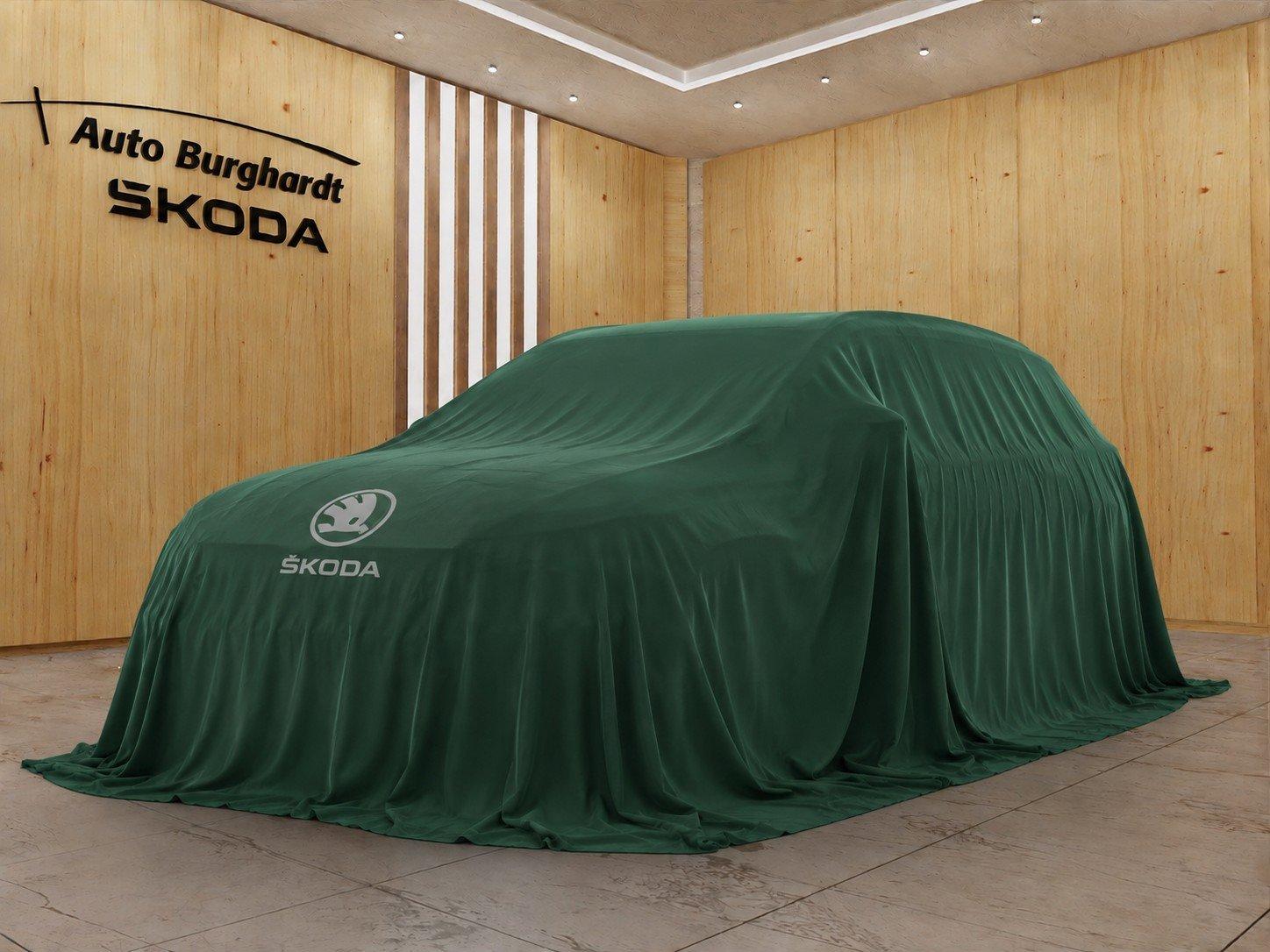 Skoda Fabia 1.0 MPI Selection *Klima,SmartLink,LED*