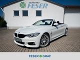 BMW 430 d M SPORT CABRIO H+K 360° HUD KAMERA XENON N - BMW 430: 430d
