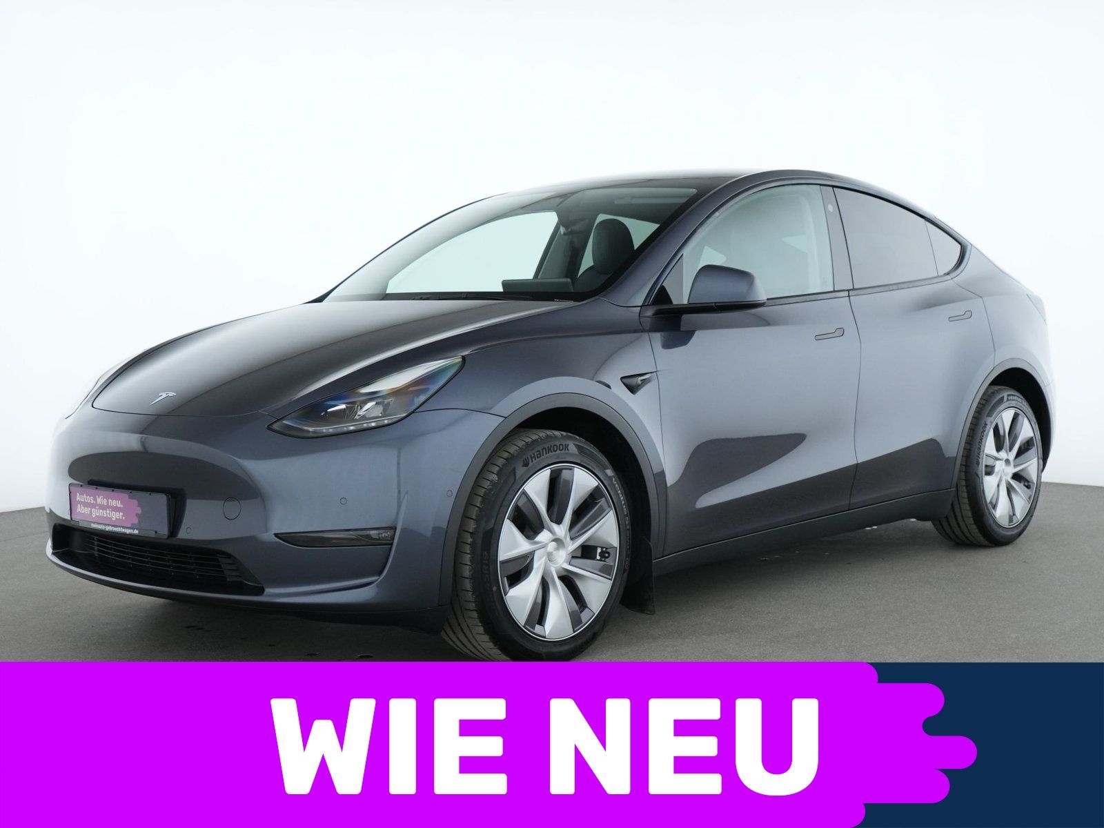 Tesla Model Y Enhanced Autopilot Panorama Kamera