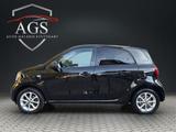 Smart ForFour forfour Basis *TÜV NEU* PDC*SHZ*TEMP - Smart ForFour mit Benzin-Antrieb