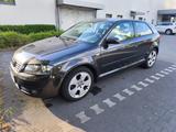 Audi A3 2.0 FSI Ambition Ambition - Audi A3 aus 2003: 2.0