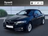 BMW 220i Cabrio Advantage DAB RFK Navi Bus. Shz - gebrauchte BMW 220 aus dem Jahr 2021