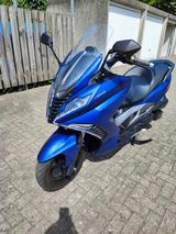 Andere Motorroller Fighter 300 R GT Max - MOTORROLLER
