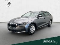 Skoda Octavia - Vorschau Bild 1