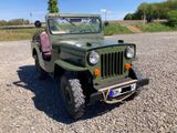 Jeep Willys CJ3B - Jeep Willys