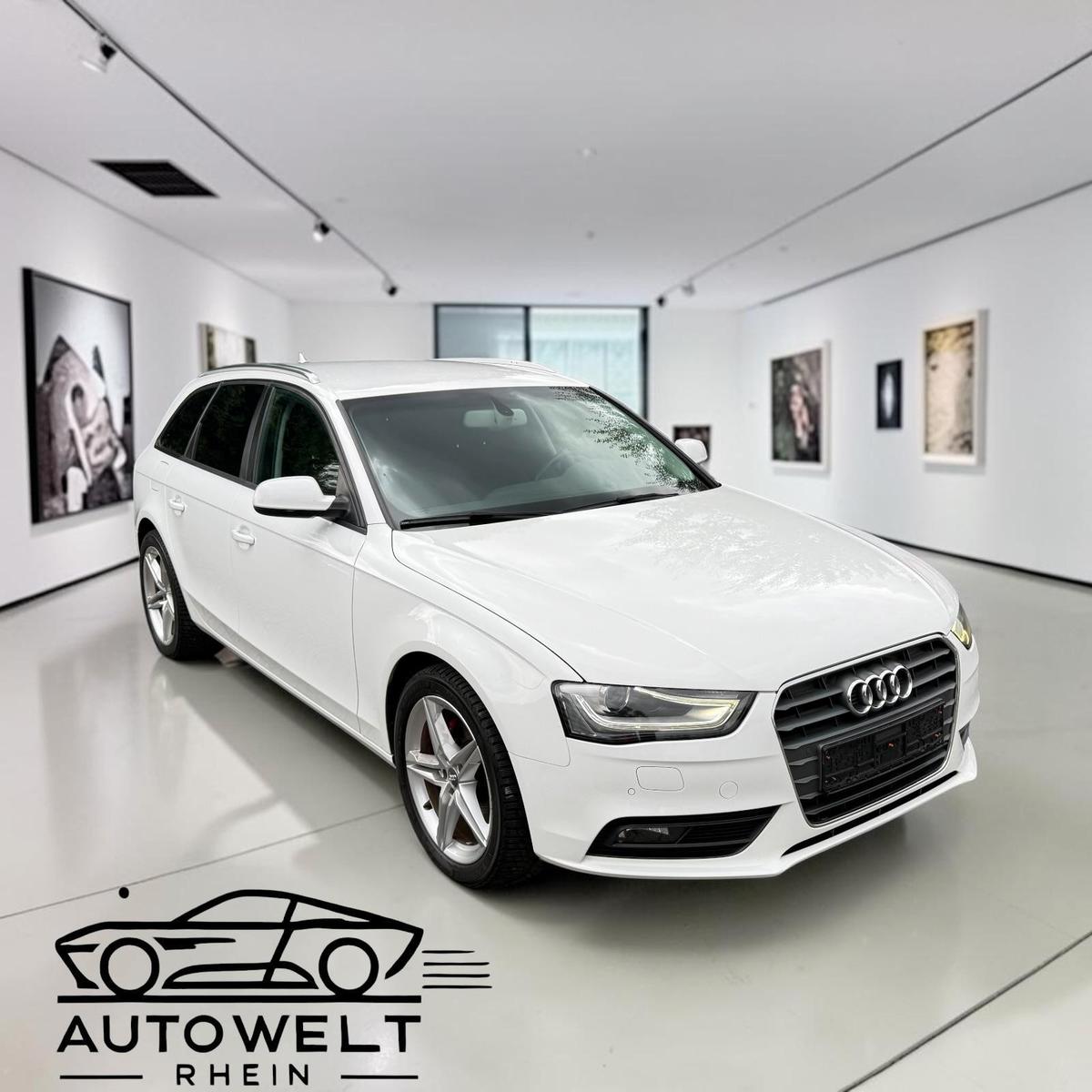 Audi A4 2014 — вигляд ззаду