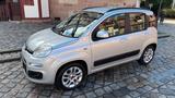 Fiat Panda quasi 1.Hand BJ 2013 Verkauf nu... - Fiat Panda Gebrauchtwagen in Nürnberg