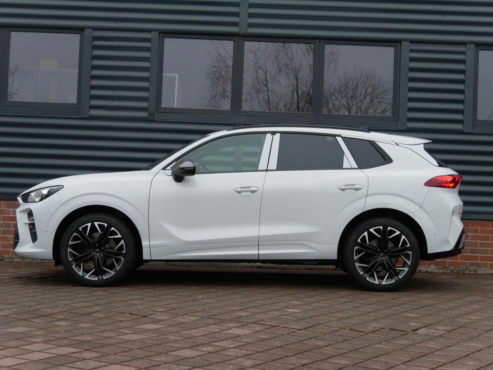 Cupra Terramar - Bild 8