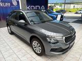 Skoda Kamiq Selection 1.0 TSI DSG LED RFK Smart-Link - Skoda Kamiq Tageszulassungen
