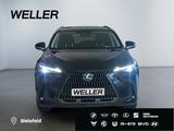 Lexus NX 450h+ E-FOUR Executive Line *LED*360°*ACC*PDC - Lexus NX 450h SUV
