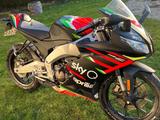 Aprilia RS 125 Replica GP - Baujahr 2022  - Aprilia RS 125 GP Replica