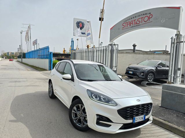 Ford Kuga 2.0 EcoBlue Hybrid 150 CV 2WD ST-Line 