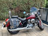 Honda Shadow VT 750 C2  - Offers matching your search criteria