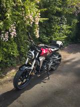Honda CB 300 R Neo Sports Café rot - HONDA CB CAFE
