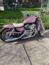 Harley-Davidson 883 Sportster Pink Lady - Offers matching your search criteria