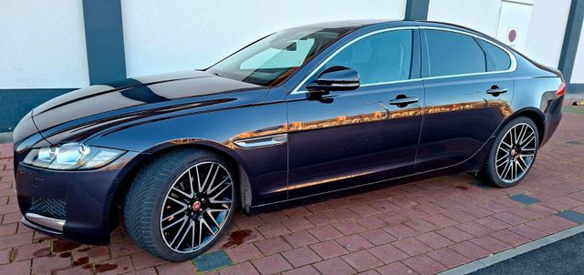 JAGUAR XF