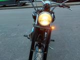Triumph America - Angebote