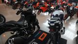 Suzuki DL 800 V-Storm 800DE - Angebote