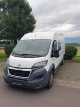 Peugeot Boxer / Ducato L3H2 Kastenwagen  - Peugeot Wohnmobil oder -wagen