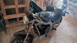 Suzuki GS 500e - Angebote entsprechen deinen Suchkriterien