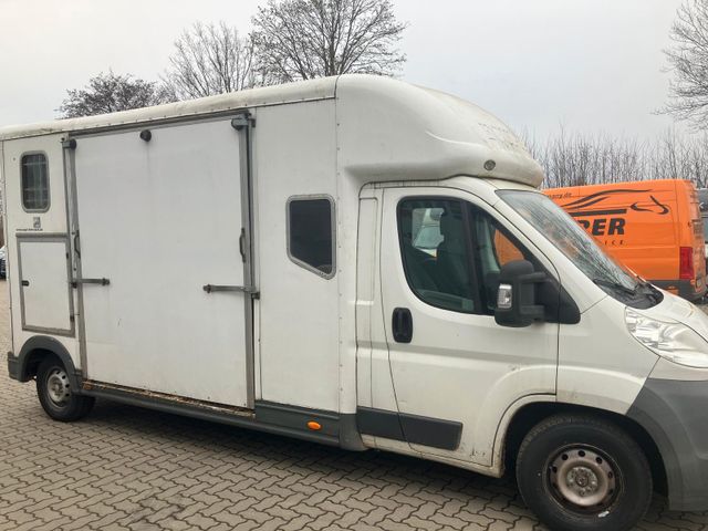 Peugeot Boxer 1-2 Pferde 5 Sitzer und Bett