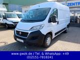 Fiat Ducato Kasten 350 L2H2 /PDC/Kamera/ Tempom/ NAVI - Fiat Fahrgestell Ducato