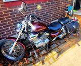 Yamaha Virago 535 - Offers