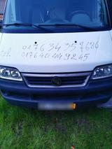 Fiat Ducato Verkaufswagen - Fiat Ducato: Verkaufswagen