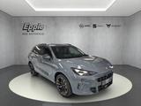 Cupra Terramar VZ 2.0 TSI 195 kW (265 PS) 7-Gang DSG 4