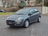 Fiat Punto Lounge*wenig*klimaauto*Allwetter - Fiat Punto: Lounge