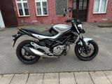 Suzuki SFV  650 Gladius ABS *Niedrig & Normal* - Offers matching your search criteria