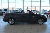 Audi A3 Cabriolet S Line Xenon Navi PDC Sitzhzg. - Audi A3: Braun