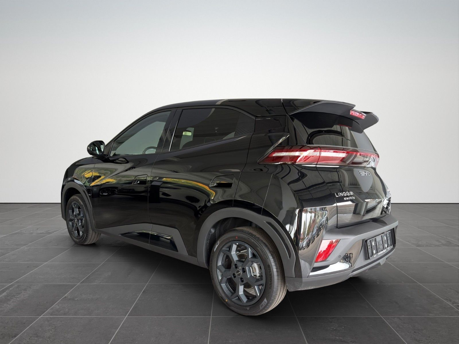 BYD DOLPHIN SURF