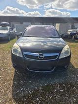 Opel Signum - Opel Signum in Duisburg