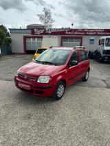 Fiat Panda 1.2 8V Dynamic - Fiat Panda Dynamic mit Benzin-Antrieb