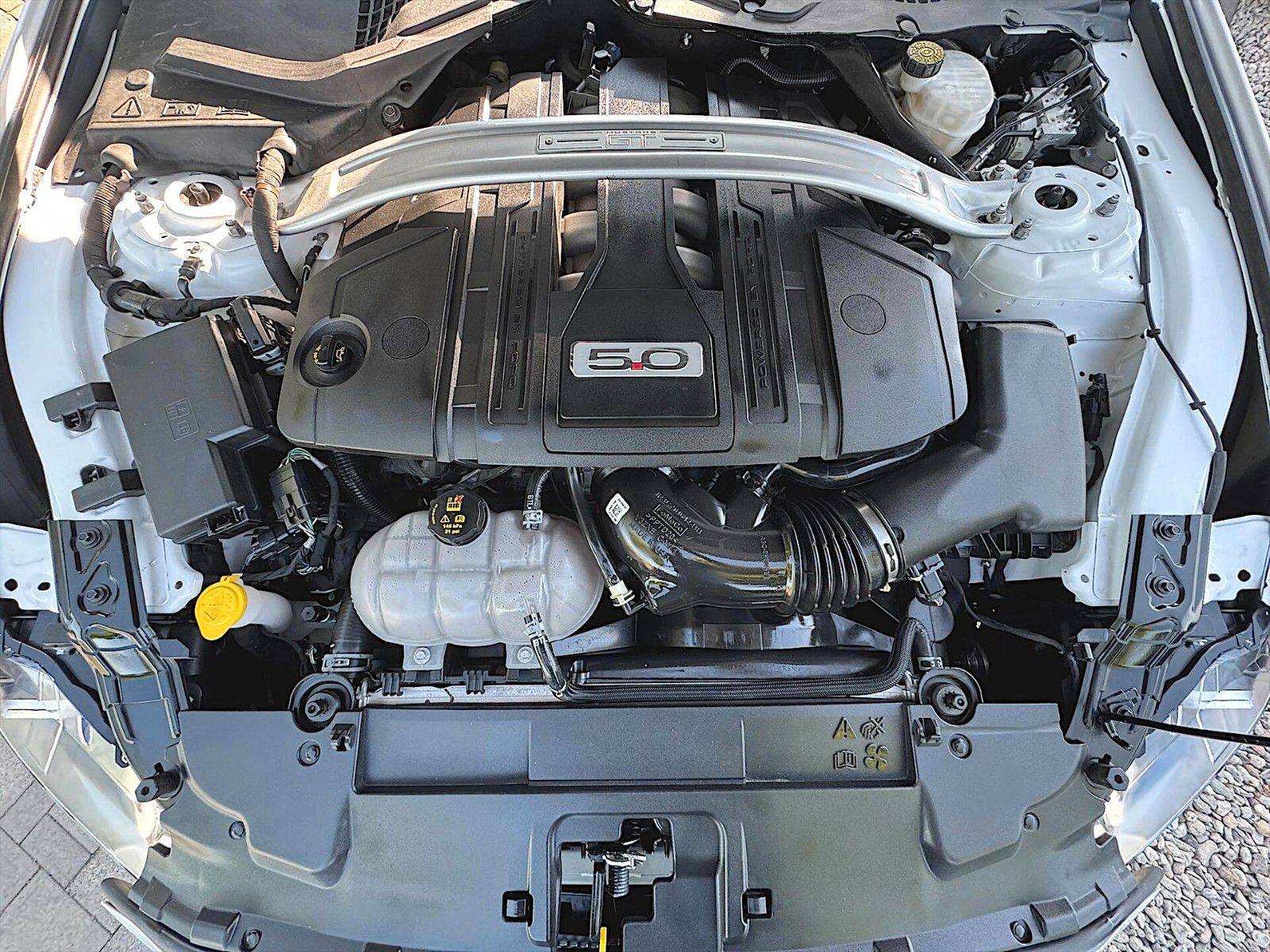 Fahrzeugabbildung Ford Mustang Shelby GT 5.0 V8 Performance PREMIUM ACC
