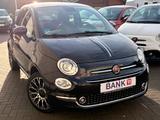 Fiat 500 Star -Pano/Navi/Leder- - Fiat 500: Leder