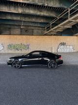 Hyundai Coupé/Tiburon v6 - Hyundai Coupe: Tiburon