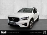 Volvo XC40 B3 Benzin Plus Dark Business-Paket BLIS Pix - Volvo XC40 Tageszulassungen