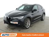 Alfa Romeo Stelvio 2.2 JTDM Q4 B-Tech  Aut.*NAVI*BI-XENON* - Alfa Romeo mit Diesel-Antrieb